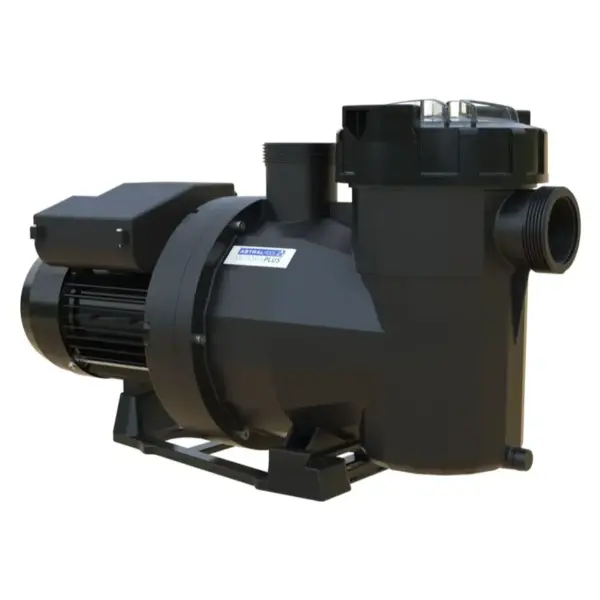 Pumpe Victoria Plus Silent Vs 1.webp