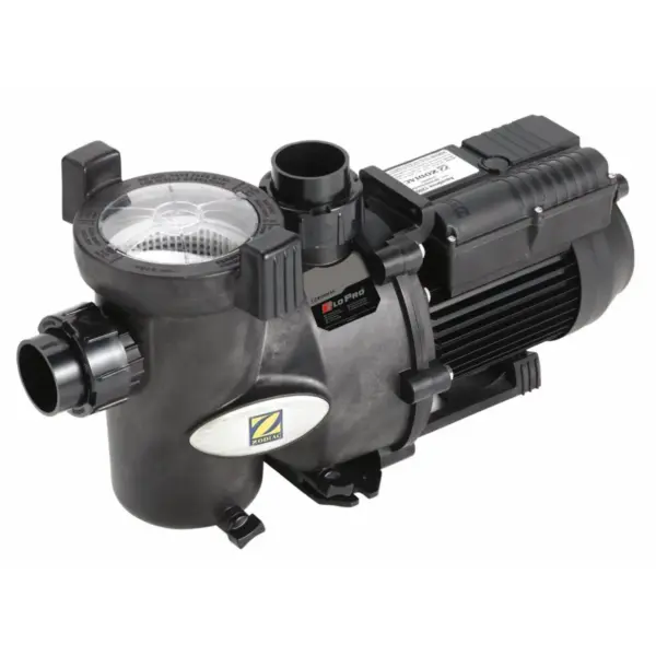Schwimmbadpumpe Flopro 1.webp